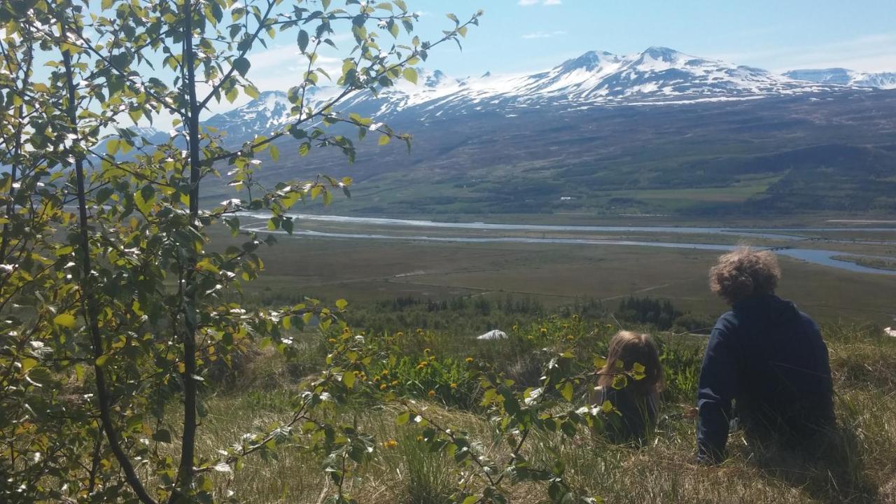 אקורירי Iceland Yurt מראה חיצוני תמונה