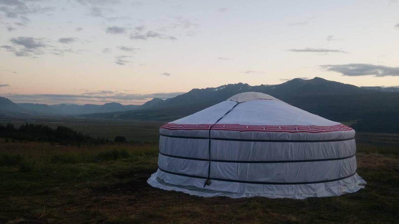 אקורירי Iceland Yurt מראה חיצוני תמונה