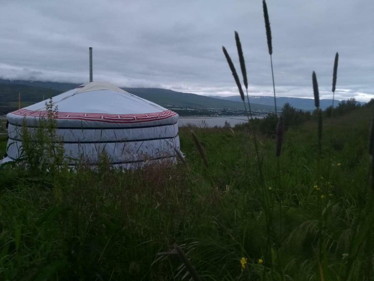 אקורירי Iceland Yurt מראה חיצוני תמונה