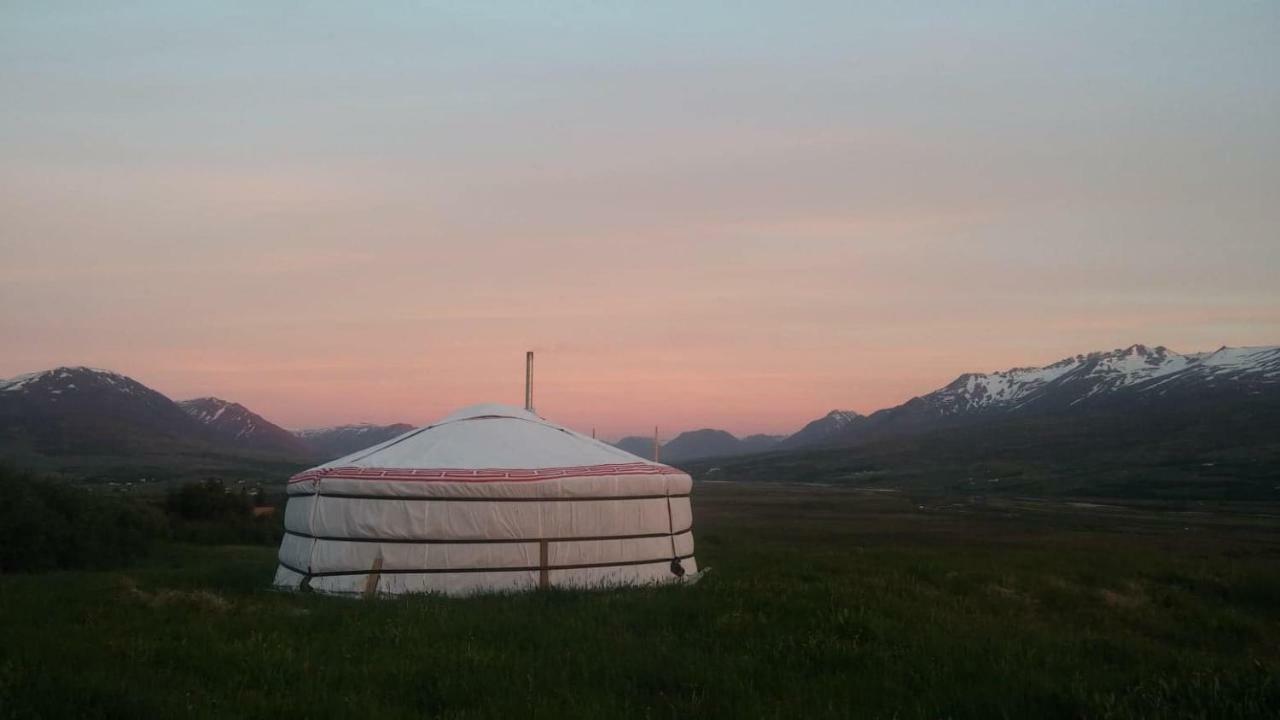 אקורירי Iceland Yurt מראה חיצוני תמונה